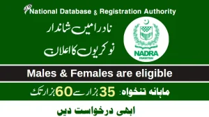 NADRA Jobs