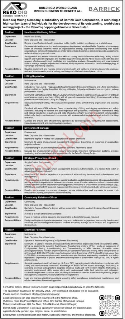 Latest Reko Diq Mining Company Jobs in Balochistan January 2025